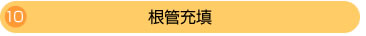 10.根管充填