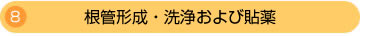 8.根管形成・洗浄および貼薬