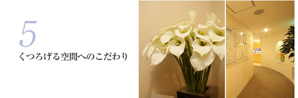 5�D���낰���Ԃւ̂������