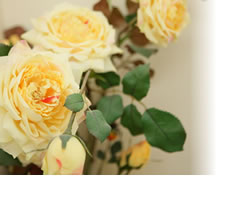 ���@�ł͊��җl��l��l�̊�]�ɉ��������Ìv��𗧂ď[���Ȑ����̂��Ƃ������Ń��C�t�X�^�C���₲�v�]�ɍ��킹�����Â�I�����ł��܂��B