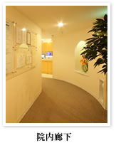 �@���L��