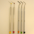 �j�b�P���`�^�����̊��