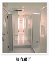 院内廊下